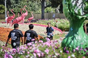 BIB: 
                            <button type="button" onclick="openModal(27793924)" class="btn btn-primary btn-sm float-right btn-popup" data-toggle="modal" data-target=".modal-high-quality">
                        <i class="fas fa-shopping-cart"></i> Add to Cart
                    </button>
                                            <button type="button" onclick="isThisMe(27793924, true)" class="btn btn-success btn-sm float-right btn-popup btn-isme hidden" data-toggle="tooltip" data-placement="bottom" title="นี่คือรูปของคุณใช่ไหม คลิกที่นี่เพื่อเอาเข้าอัลบั้ม">
                        <i class="fas fa-plus"></i> Add to album
                    </button>
                    <button type="button" onclick="isThisMe(27793924, false)" class="btn btn-warning btn-sm float-right btn-popup btn-isnotme hidden">
                        <i class="fas fa-ban"></i> Remove from album
                    </button>